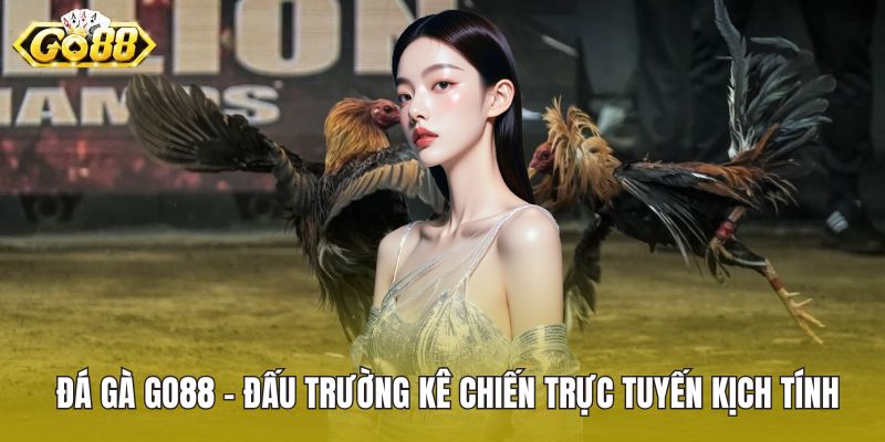 đá gà GO88