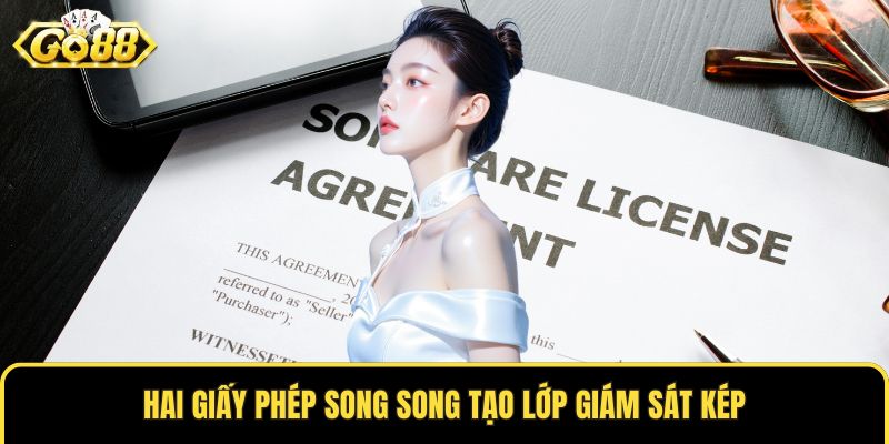 Hai giấy phép song song tạo lớp giám sát kép