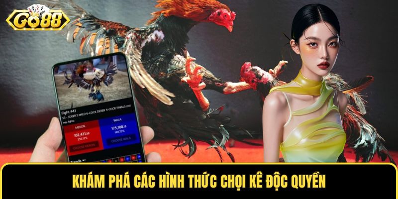 Khám phá các hình thức chọi kê độc quyền